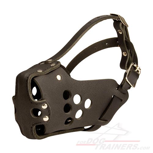 Military Dog Muzzle for training, police, agitation M31