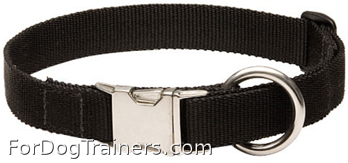 Extra strong nylon dog collar for daily use