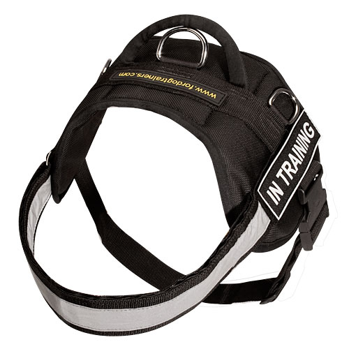 Canine Nylon Harness for Any Weather