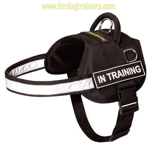 Nylon Dog Harness with Handle