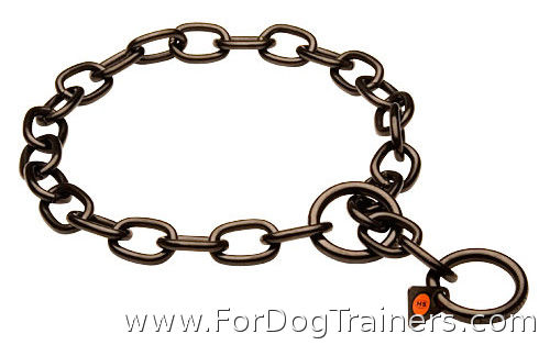 dog collar