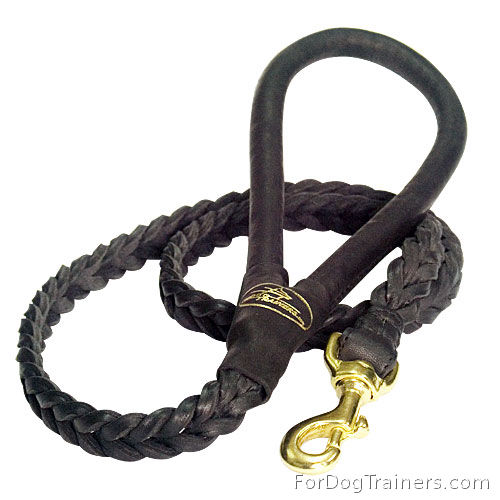 Braided Leather Dog Leash with Additional Handle