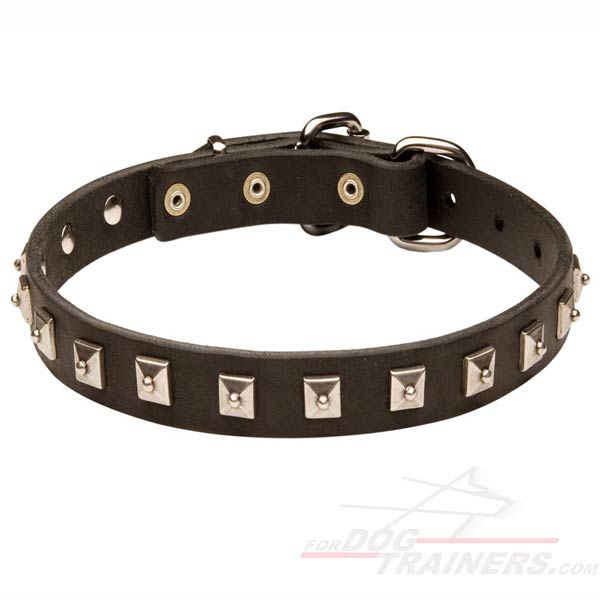 Custom Leather Dog Collar