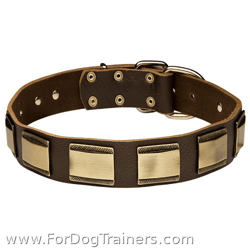 New design leather dog collar