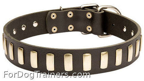 New design leather dog collar