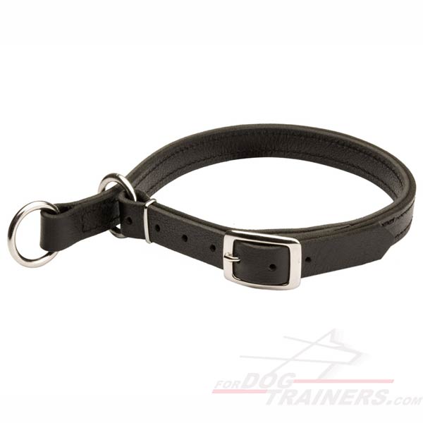 Leather Choke Dog Collar for Walking and Training