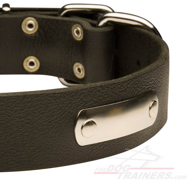 Durable Dog Collar Leather Perfectly Oiled