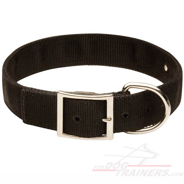 2 Ply Nylon Cane Corso Collar with a Strong Buckle