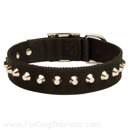 Studded nylon dog
collar dor large and medium breeds