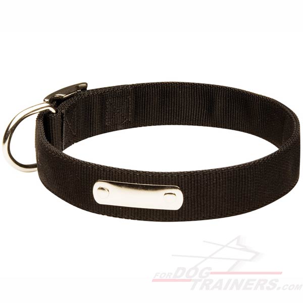 Nylon Dog Collar for Easy Identification