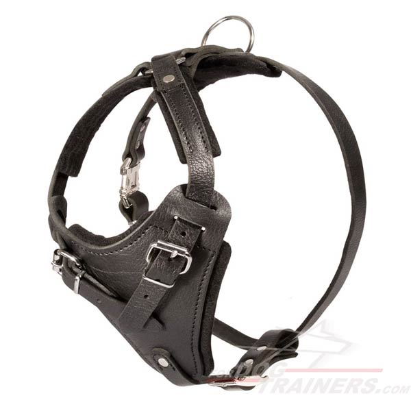 Strong Leather Canine Harness for Agitation Work