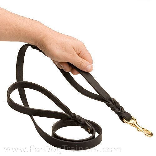 New leather dog leash with two handles