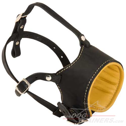 Leather dog muzzle