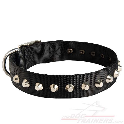 All-Weather Nylon Dog Collar