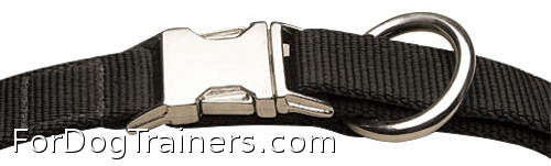 Nylon dog collar with strong hardware