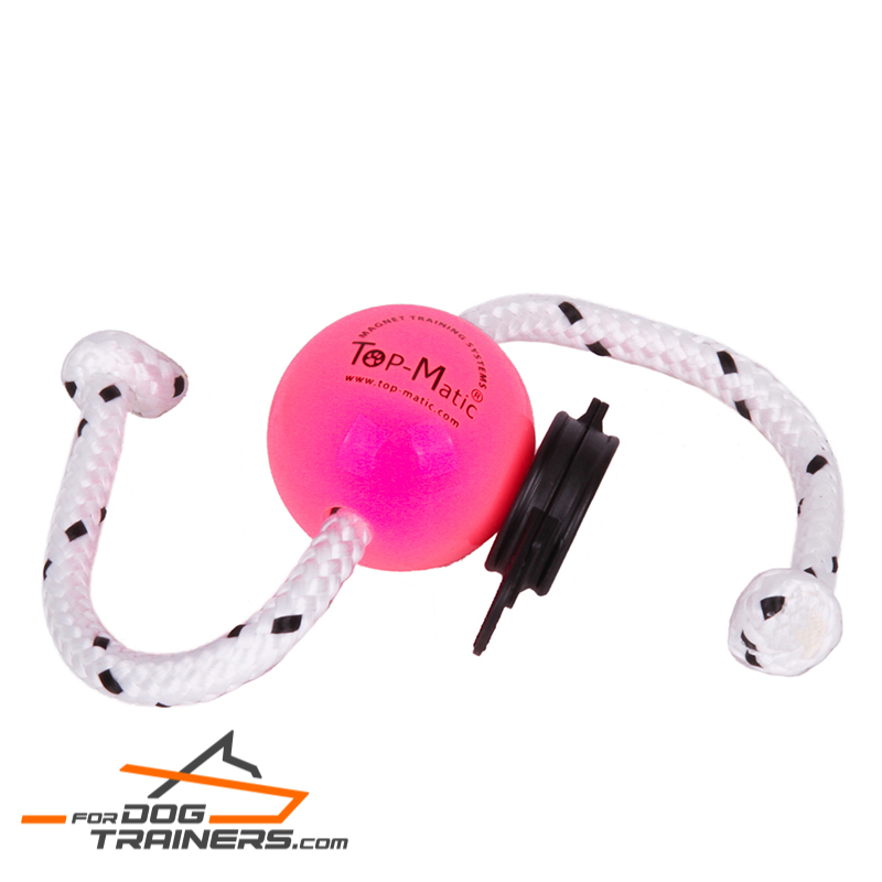 "Pink Happiness" Magnetic Dog Ball for Professional Training "Pink Happiness" Magnetic Dog Ball for Professional Training