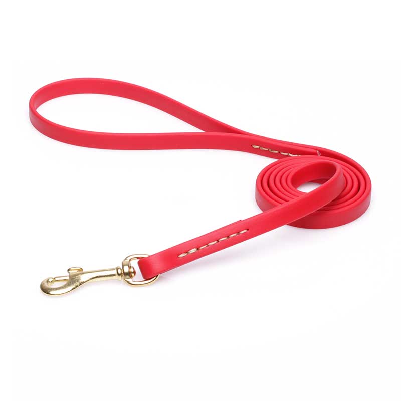 Biothane® Dog Leash