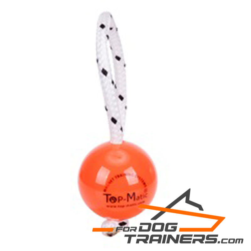 Dog Magnetic Ball Ideal for Professional Training Dog Magnetic Ball Ideal for Professional Training
