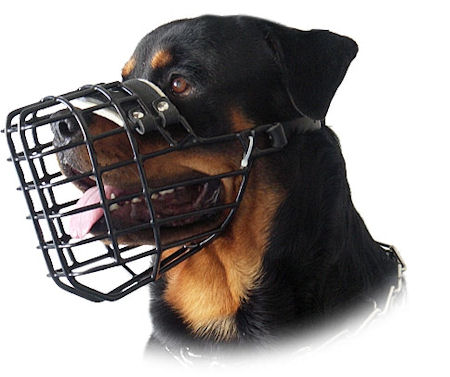 Rottweiler Wire Dog MUZZLE for winter with rubber cover