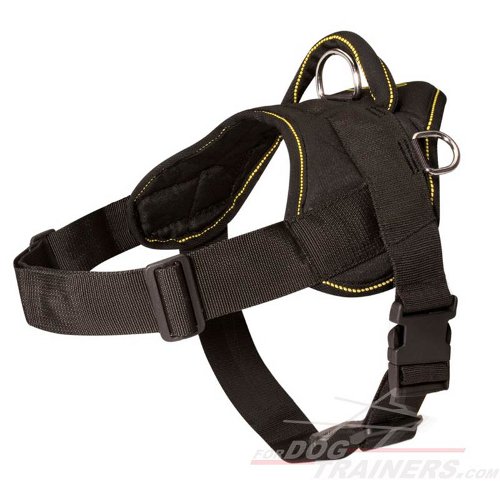 Husky deals walking harness