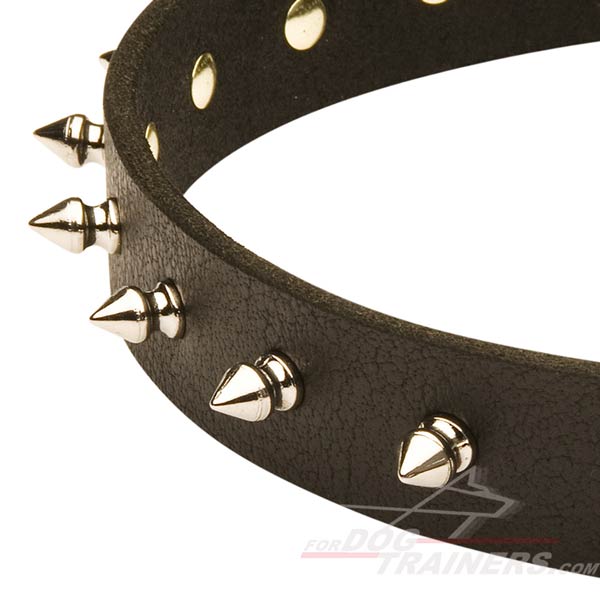 Cane Corso Perfect Leather Dog Collar