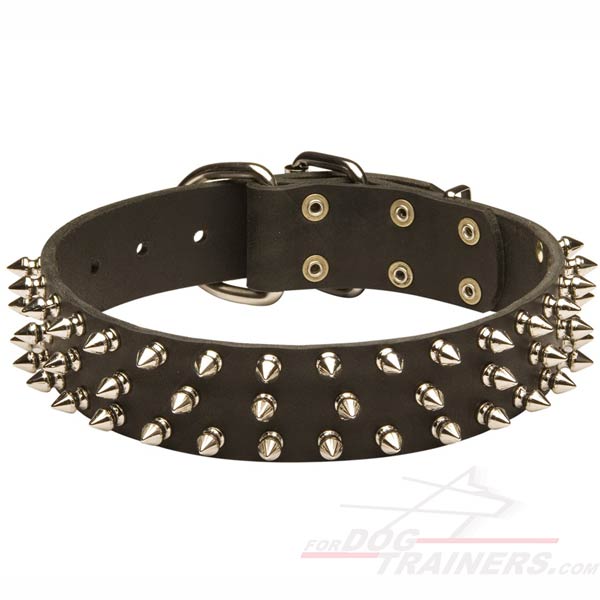 Classy Leather Cane Corso Collar