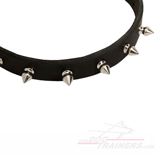 Leather Dog Collar with Riveted Decorations