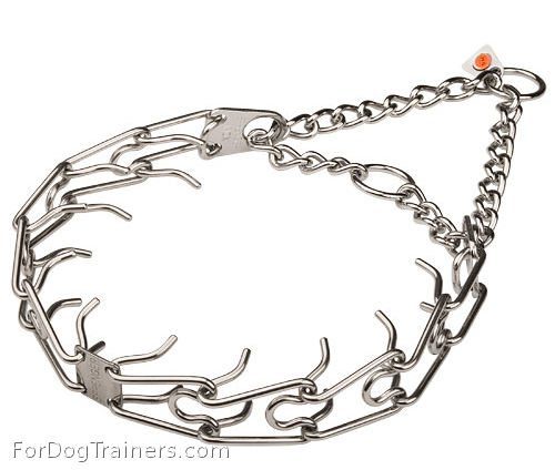 Dog Training Pinch Collar