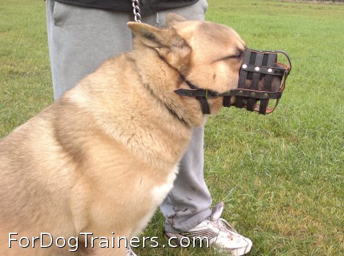 Everyday Light Weight Super Ventilation Akita muzzle perfectly suits every dog