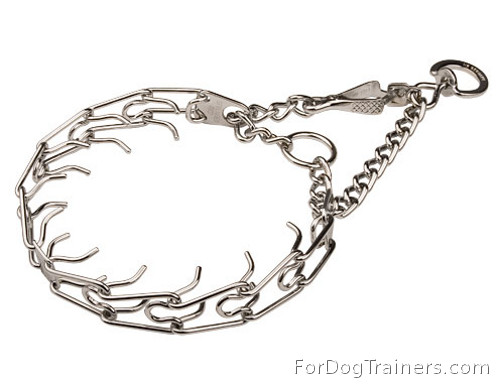 prong collar for dogs