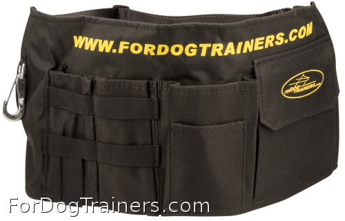 Dog training treat pouch