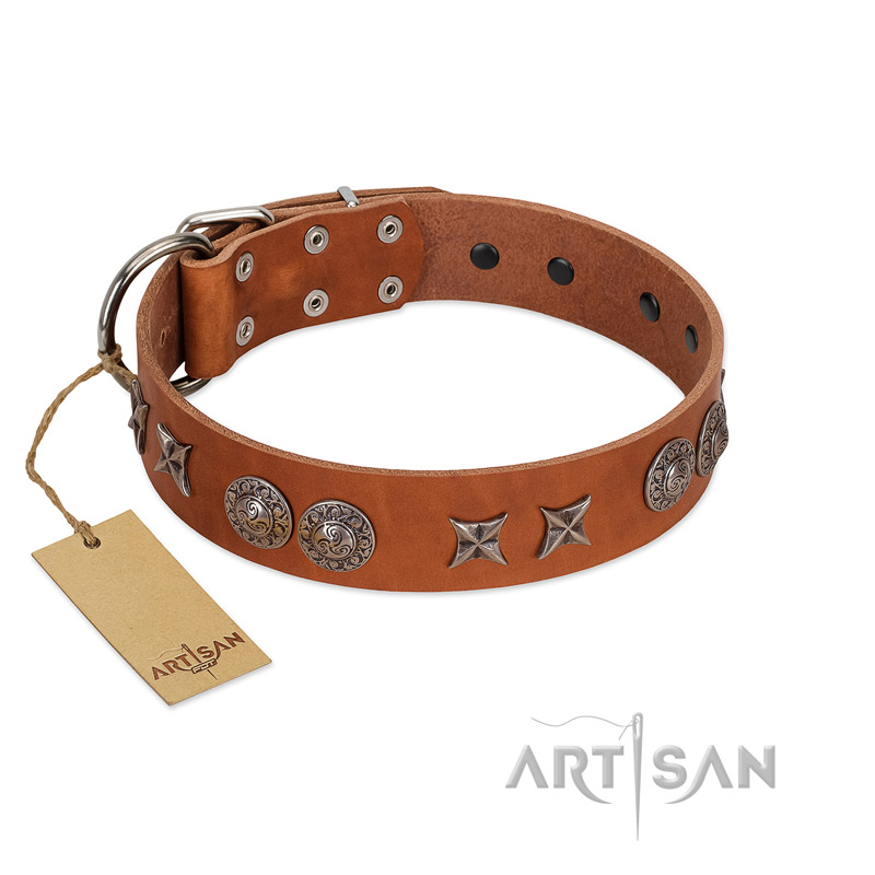 Splendid Armor Premium Quality FDT Artisan Tan Designer Dog Collar