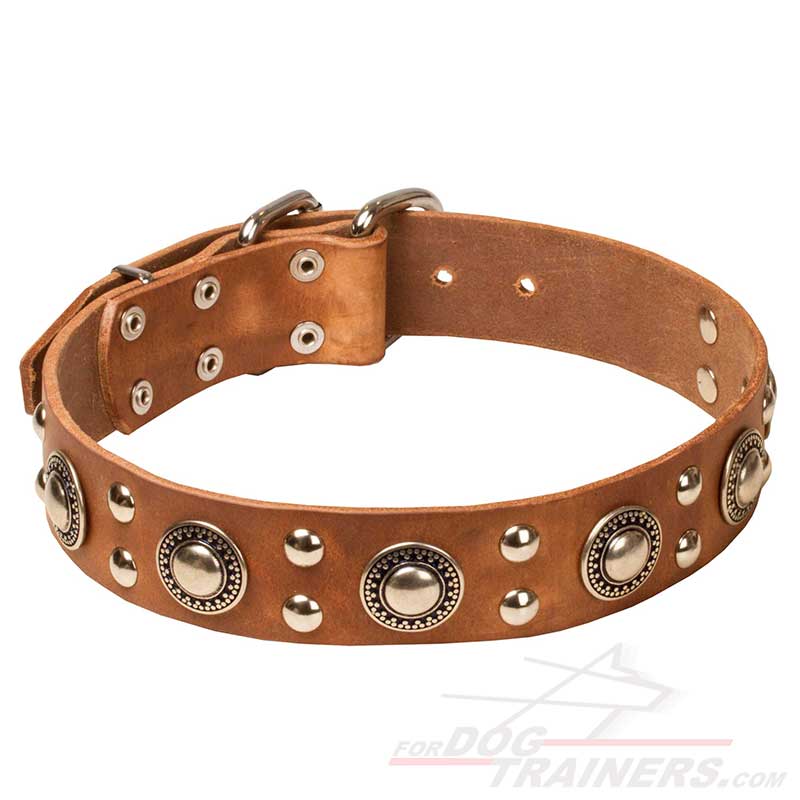 Dog Collars with Brass Hardware - ROCT Outdoor