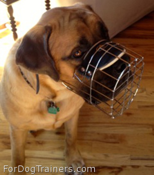 Quality wire dog muzzle