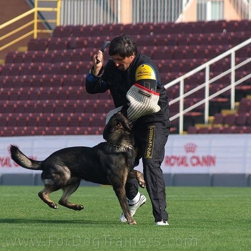 Helper Andrei  Shevchenko with our trial dog bite sleeve