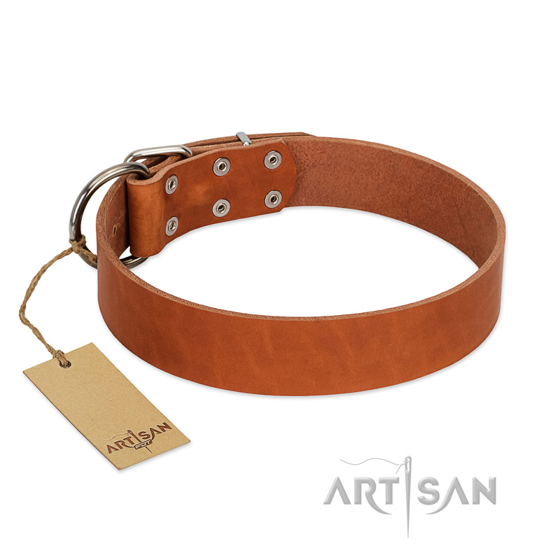 Original Leather Leash - Genuine Canine