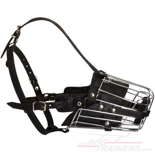 Leather Dog Muzzle