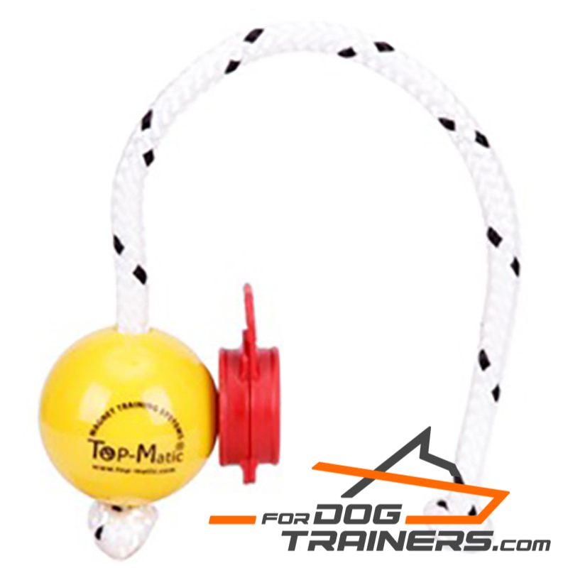 Dog Ball with Magnets for Professional Training Dog Ball with Magnets for Professional Training