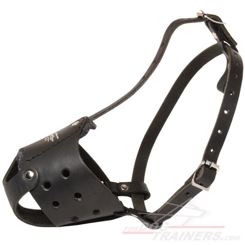 Everyday Leather dog muzzle for all breed m51