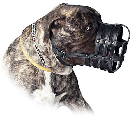 Large Leather Dog Muzzle for BULMASTIFF-Basket Leather Muzzle