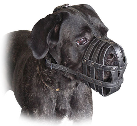 Cane Corso Everyday Light Weight Super Ventilation dog muzzle