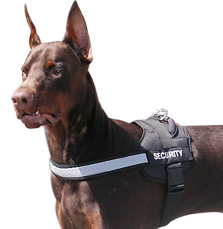 Reflective nylon dog harness with handle for Doberman