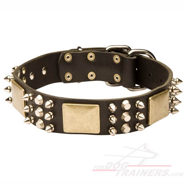 Decorated Leather Dog Collar 