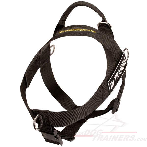 Lightweight Dog Harness with Front Leash Attachment Ring