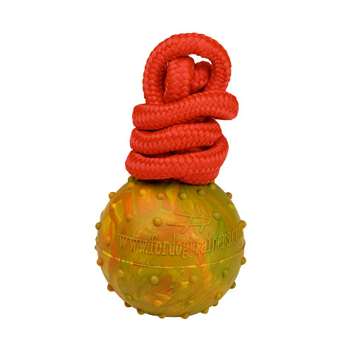 2 3/4 inch (7 cm) Dog training BALL on string made of High Quality Solid  rubber - TT5 Large