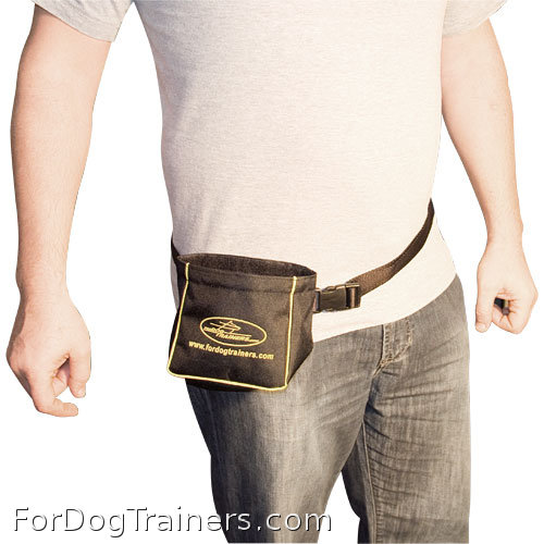 Your dog deserves Perfect professional dog training treat bag