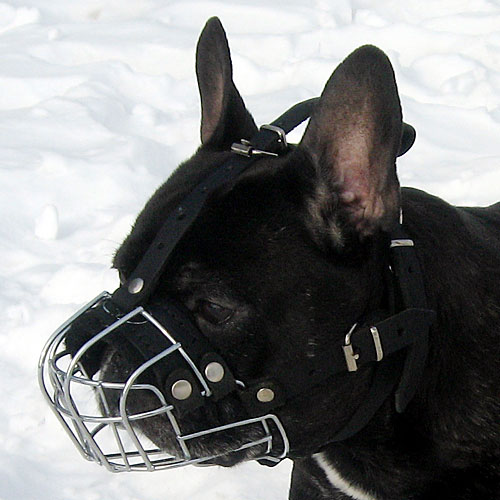 french bulldog Wire Basket Dog Muzzle
