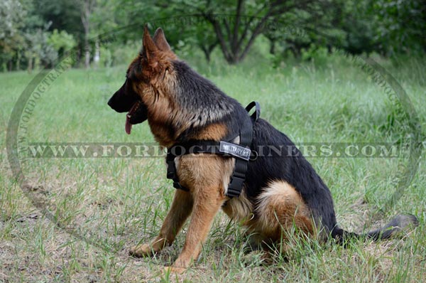 German Shepherd Control Nylon Dog Harness with ID Patches