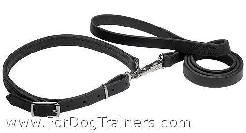 hunting dog leads and collars