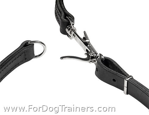 hunting dog leads and collars